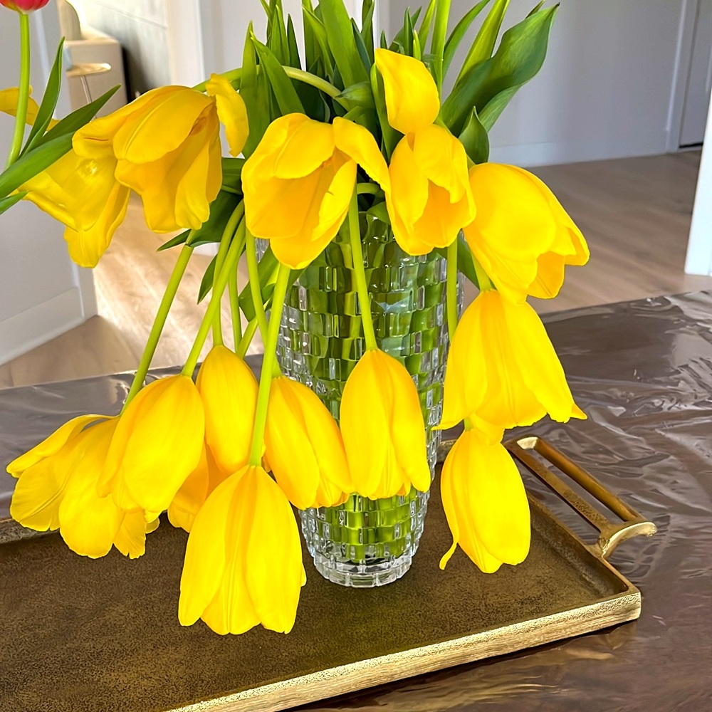 Meet your Posher, Summer